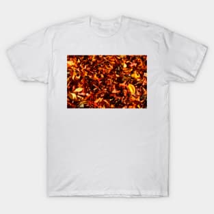 Colorfully discolored autumn leaves lying on the ground, Germany T-Shirt